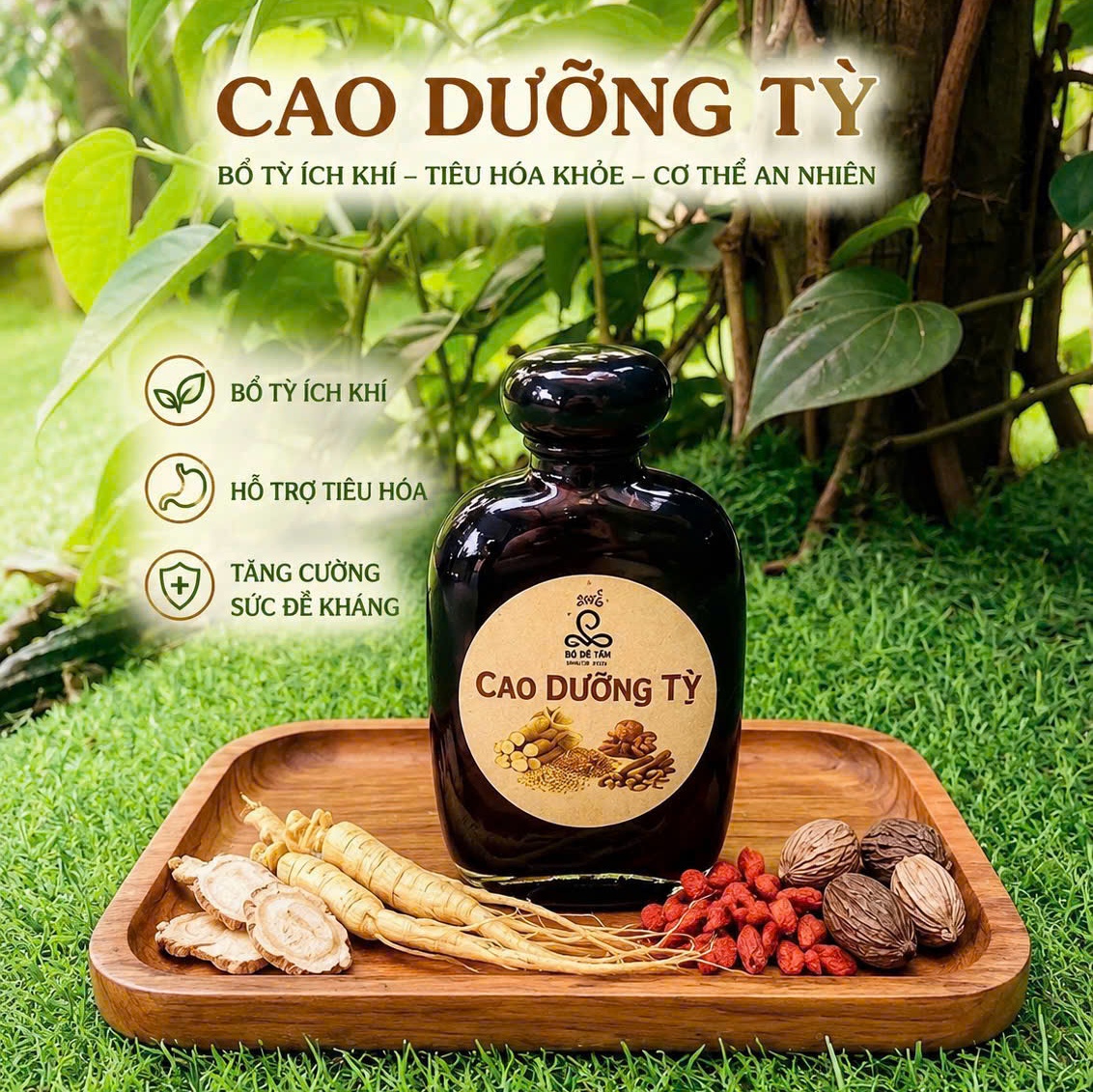 Cao Dưỡng Tỳ Vị 100ml ( Chai )