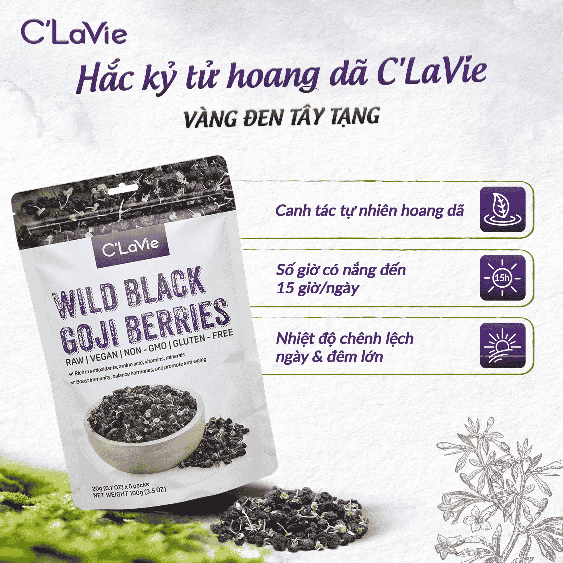 Hắc Kỉ Tử Hoang Dã Clavie 80gr ( Hộp )