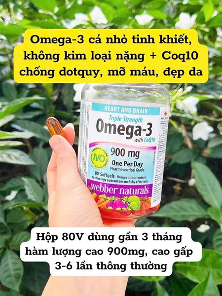 Omega 3 CoQ10 Triple Strength 80v