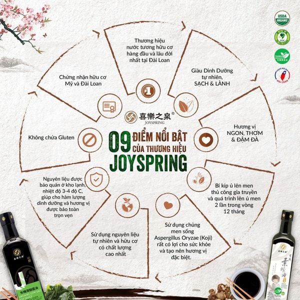 Dầu hào chay hữu cơ từ nấm Joyspring 500nl