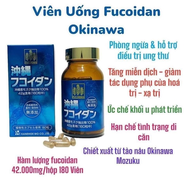 TẢO FUCOIDAN XANH NHẬT BẢN PHÒNG NGỪA ĐIỀU TRỊ UNG THƯ 180v ( Lọ)