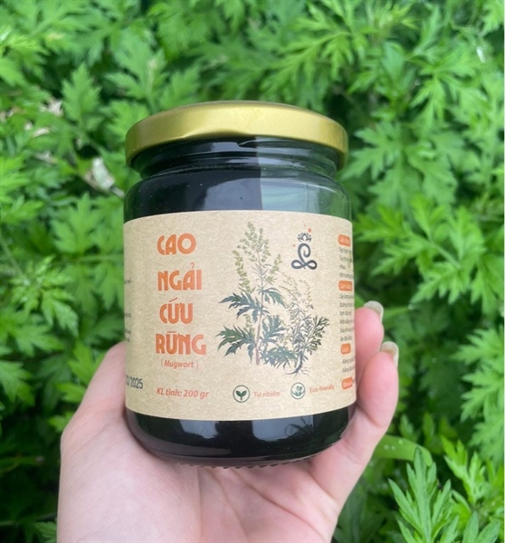 Cao ngải cứu rừng 200gr ( Lọ)