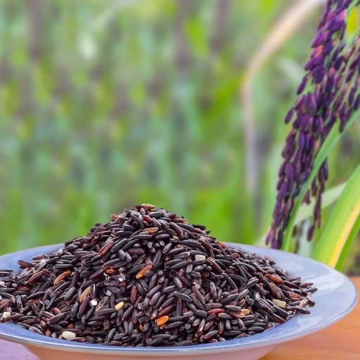 Gạo Lứt Tím Than Sóc Trăng 1kg (Túi)