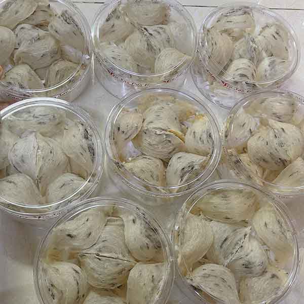 Yến Thô Già Ít Lông 100gr