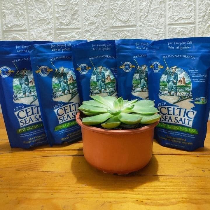 Muối Celtic Hạt to 454gr ( Túi )