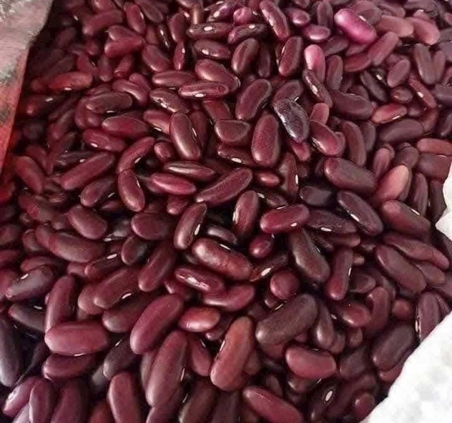 Hạt Đậu Thận Đỏ Nghệ An 1kg