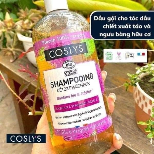 Dầu gội cho TÓC DA DẦU chiết khấu Táo và ngưu bàng hữu cơ Coslys (500ml)