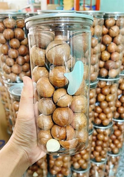 Hạt Macca Đắk Lắk Nguyên Vỏ 500g ( Hộp)
