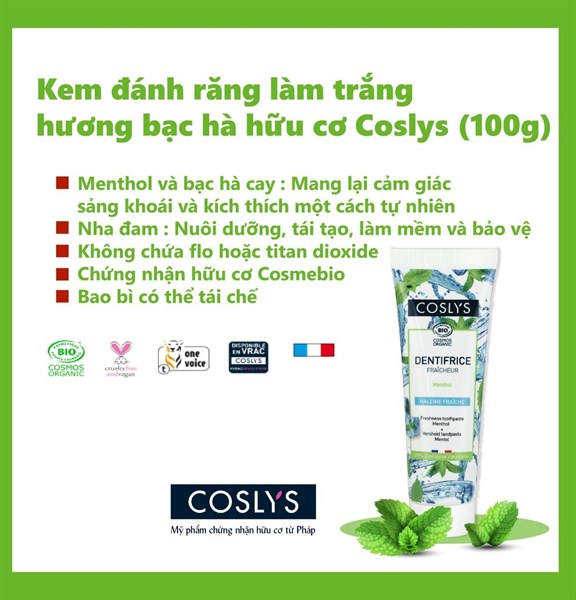Kem đánh răng the mát hương bạc hà hữu cơ Coslys 100gr