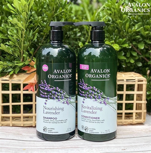 Dầu Xả hữu cơ Avalon Organics hương Oải Hương cho tóc thường và khô 907gr ( Chai )