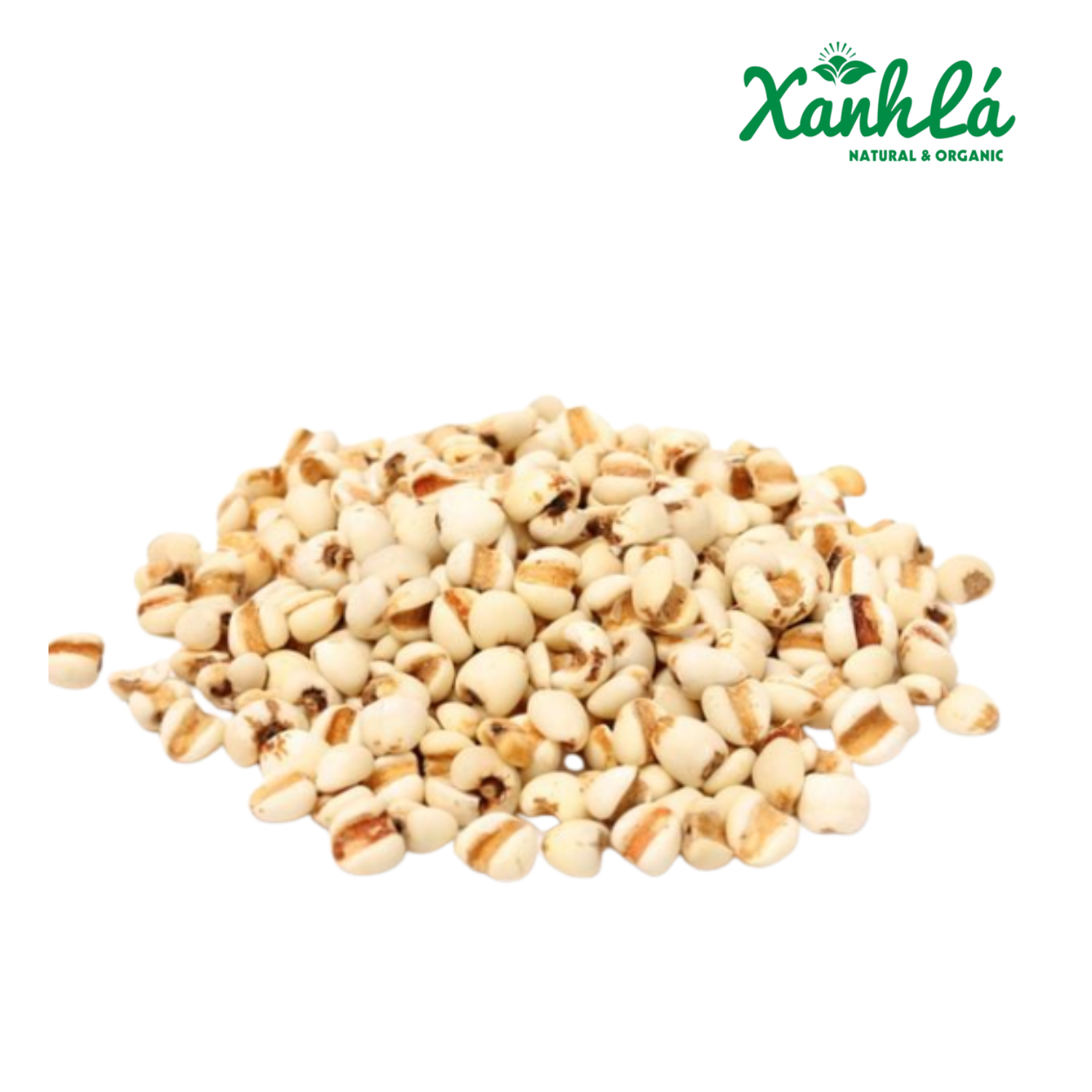 Hạt Ý Dĩ Nếp Nghệ An 1kg ( Túi)