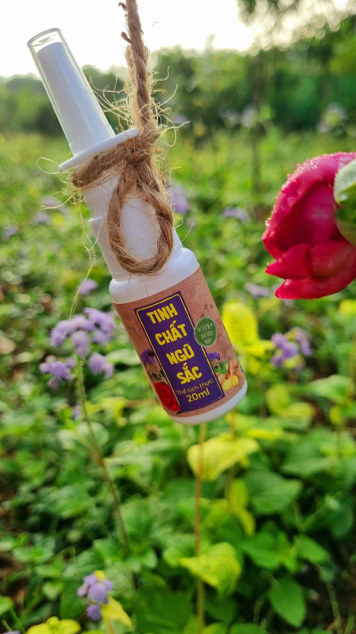 Tinh chất Ngũ Sắc Xịt Mũi 20ml