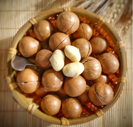Hạt Macca Đắk Lắk Nguyên Vỏ 500g ( Hộp)