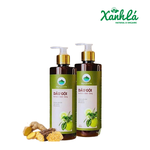 Dầu Gội Hà Thủ Ô - Bưởi - Gừng 500ml ( Lọ)