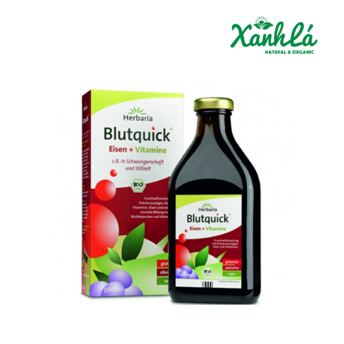 Sắt kết hợp Vitamin Blutquick 500ml