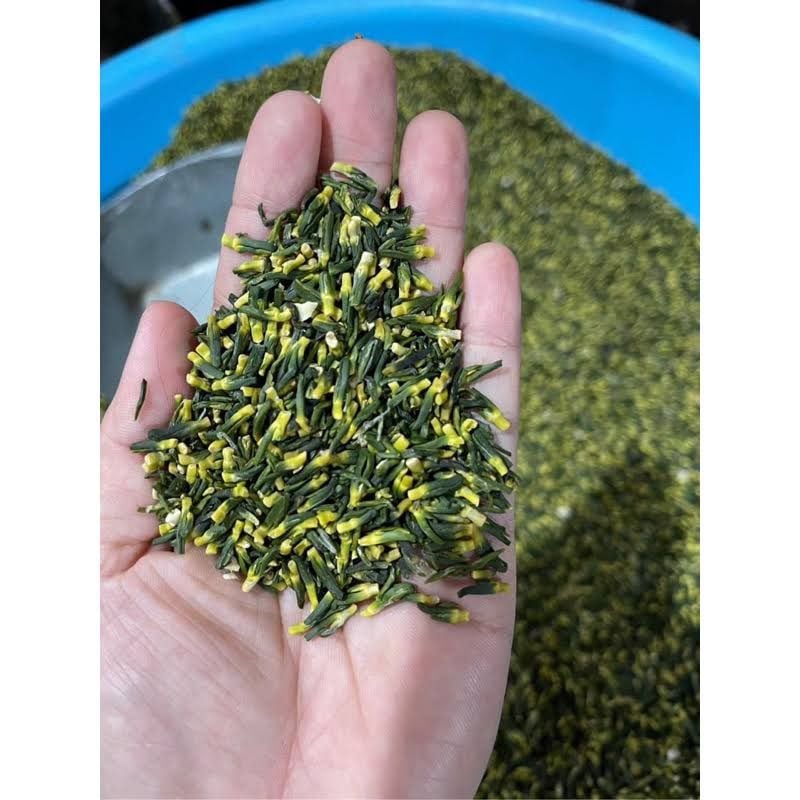 TÂM SEN 500gr ( Hộp)