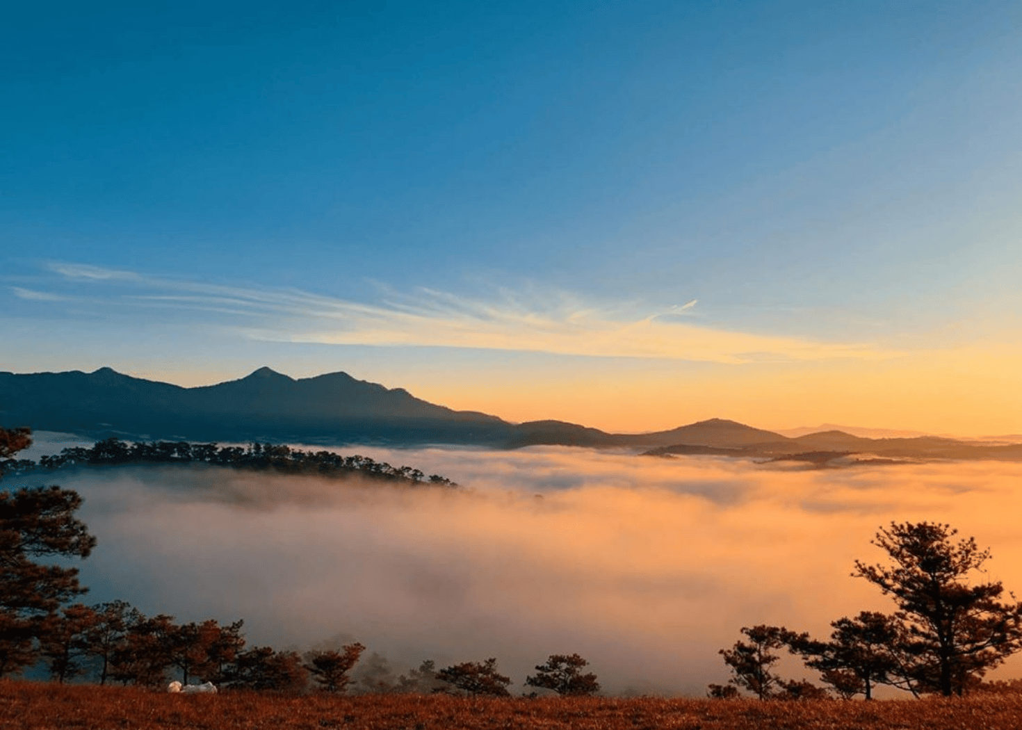 Top 5 Địa Điểm Săn Mây Đà Lạt Đẹp Nhất – Gợi Ý Từ Imperial Dalat