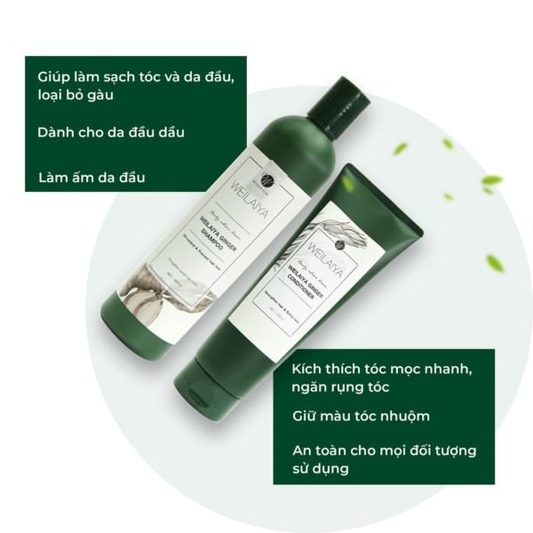 Dầu gội gừng Weilaiya 400ml (WEILAIYA GINGER SHAMPOO)