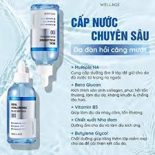 Sản Phẩm Dưỡng Ẩm Da Wellage Real Hyaluronic Blue 100 Ampoule 60ml