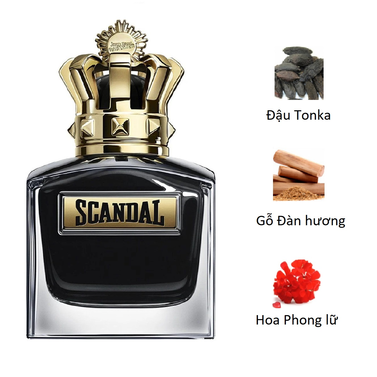 Nước hoa Jean Paul Gaultier Scandal Intense Eau De Parfum Intense Pour Homme 50ML