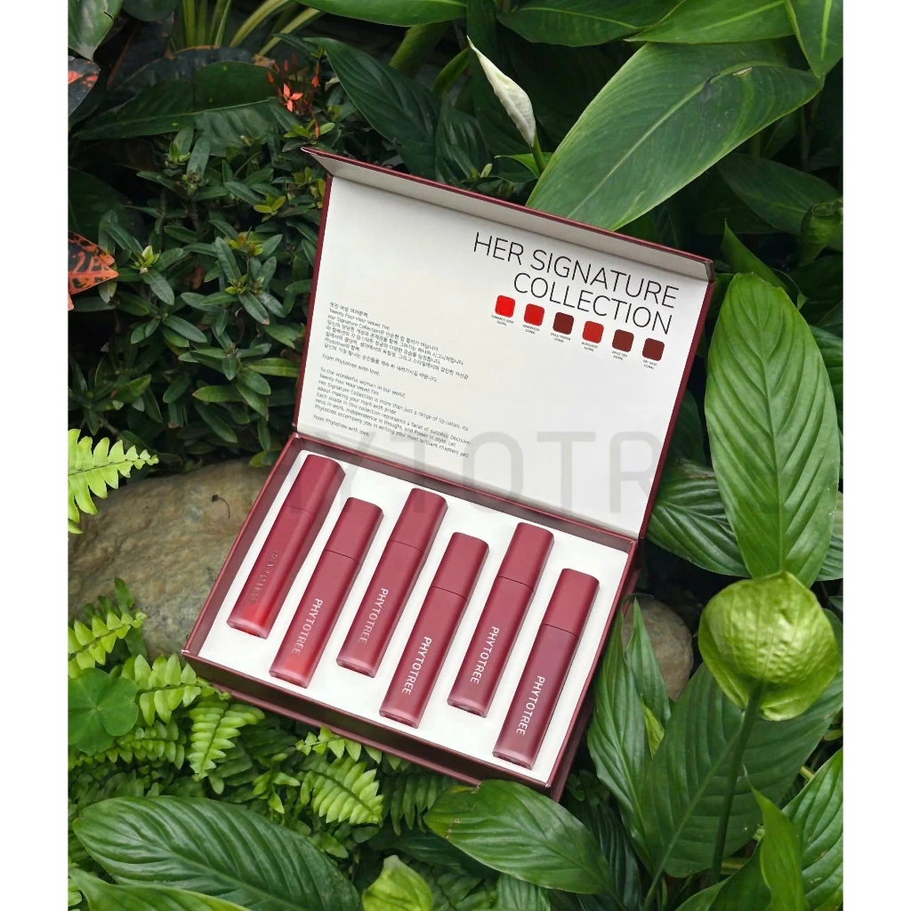 SET SON PHYTOTREE 6 CÂY (MÀU 01-06)