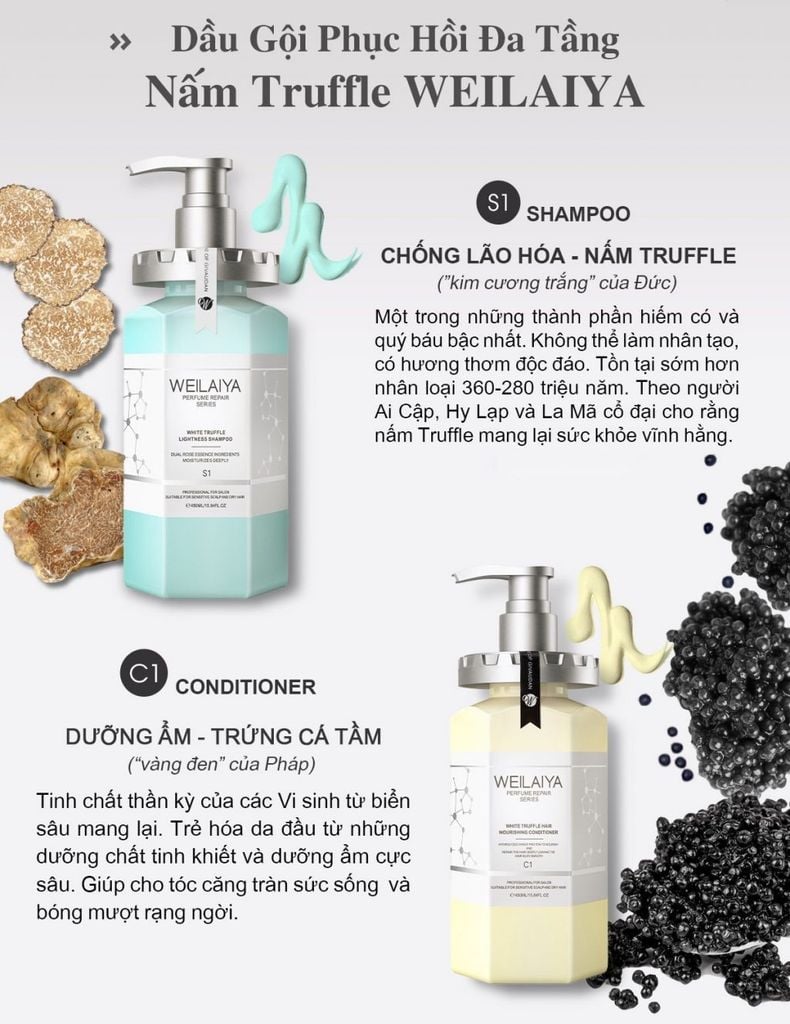 CẶP GỘI XẢ WEILAIYA NẤM TRUFFLE INSPIRED 450ML