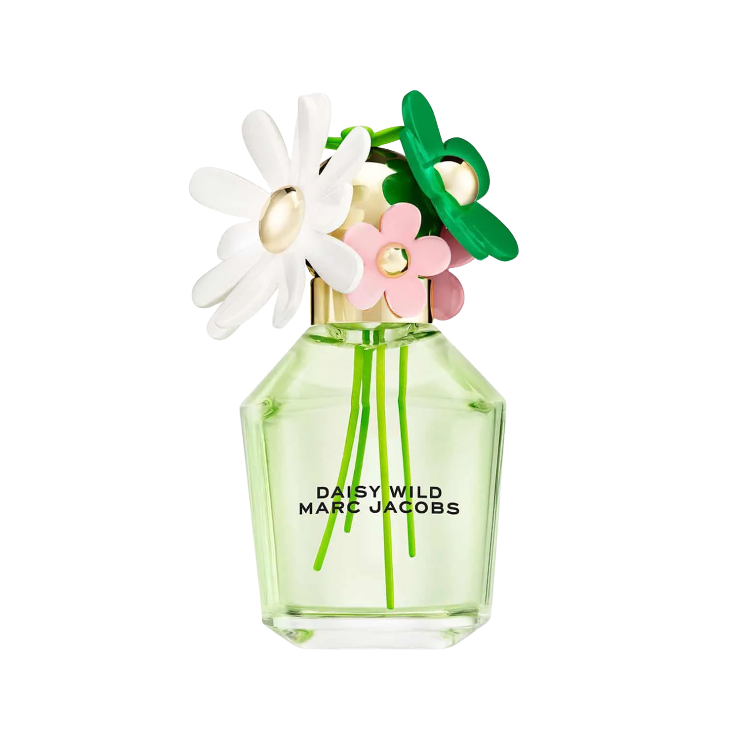 Vườn hoa Daisy của nhà Marc Jacobs