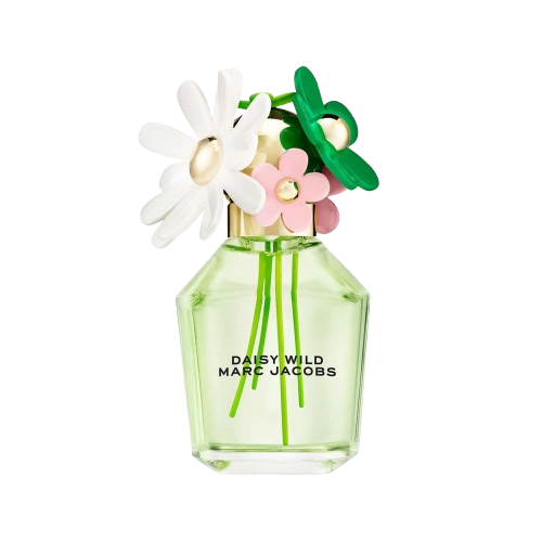 Daisy Wild