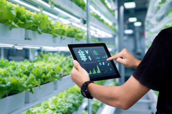 Top 5 cảm biến phổ biến cho dự án nhà thông minh