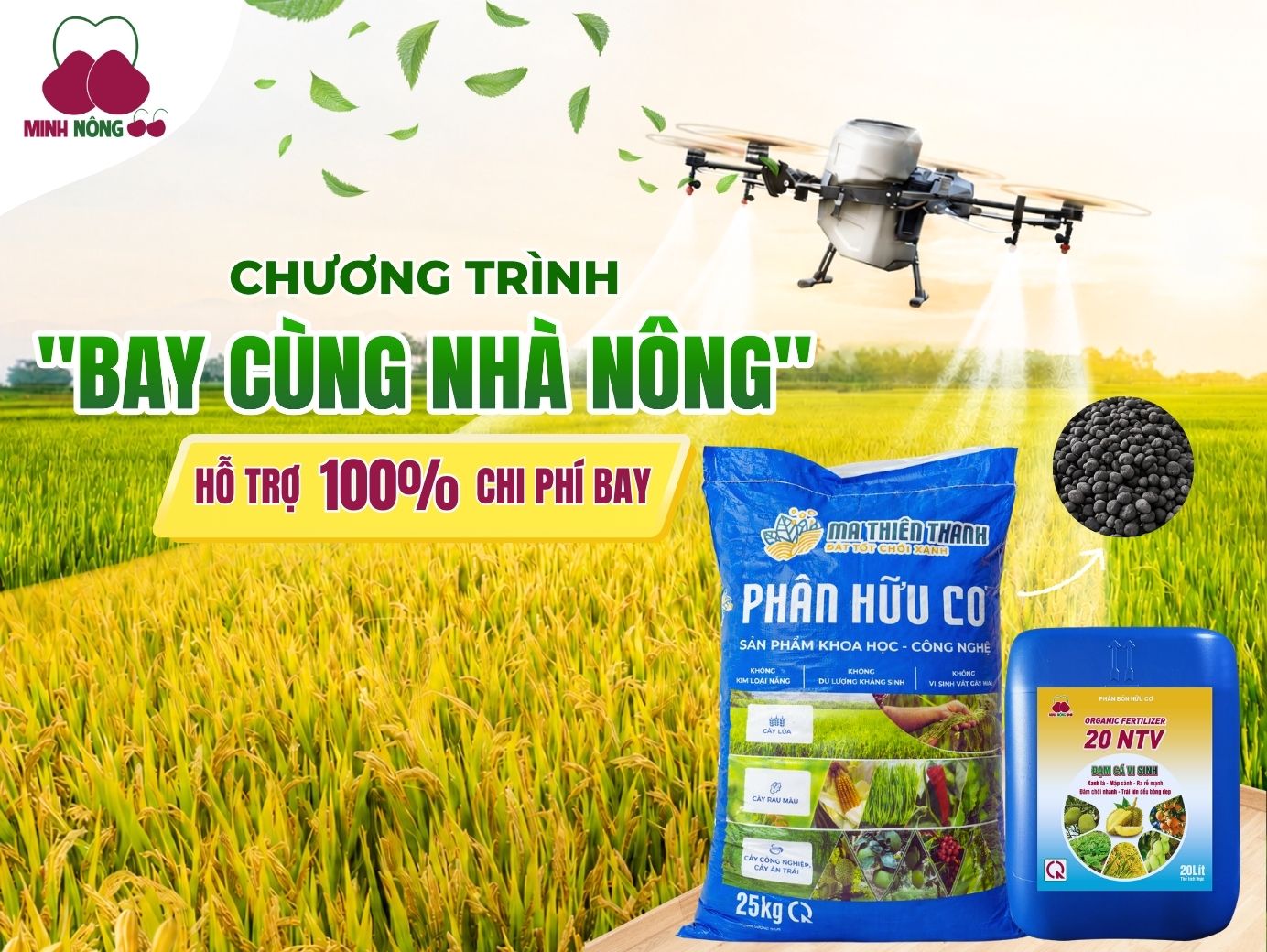 Chương trình 