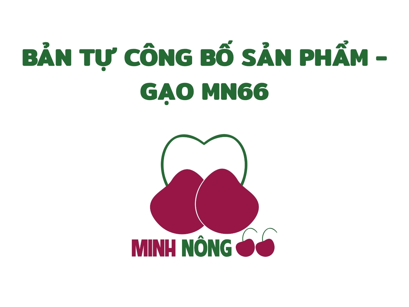 Bản tự công bố sản phẩm - GẠO MN66