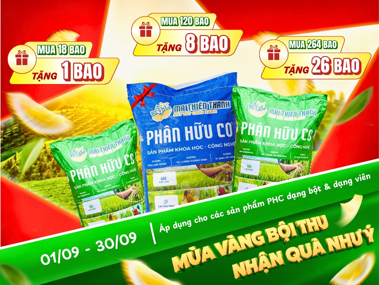 Mùa vàng bội thu - Nhận quà như ý