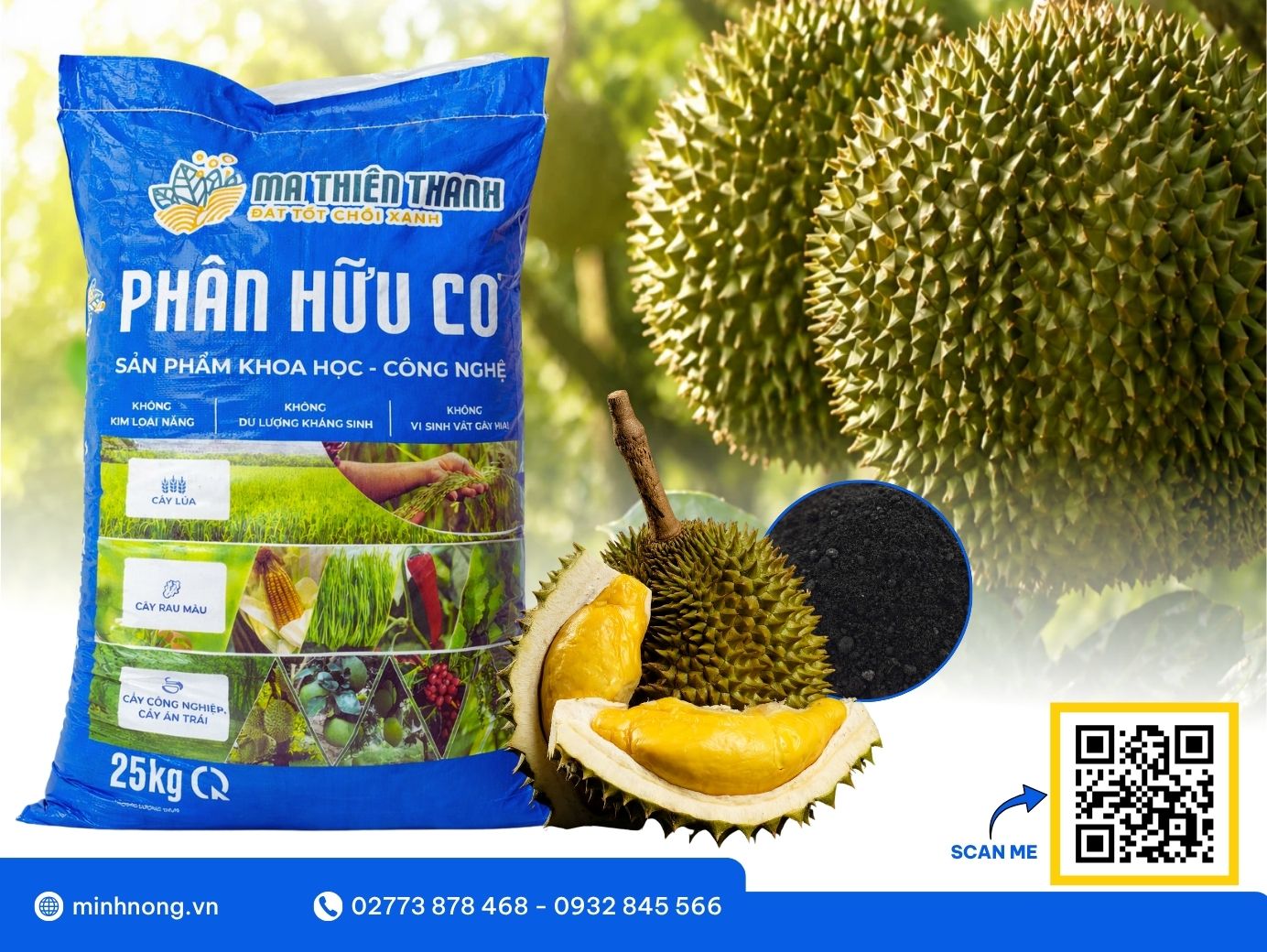 Phân hữu cơ cho cây sầu riêng: Giải pháp nuôi đất khỏe, rễ mạnh, cây bền sức