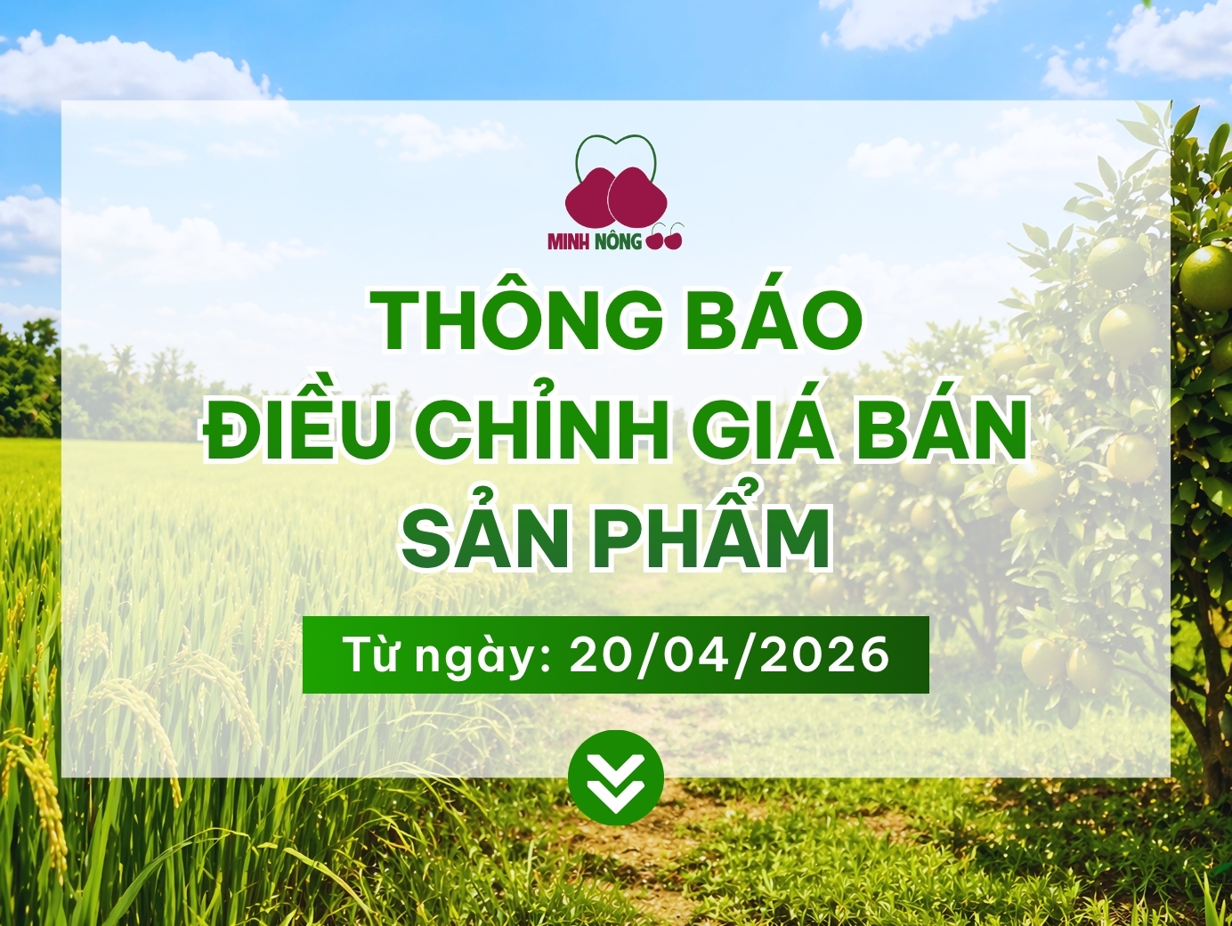 Minh Nông 66 thông báo điều chỉnh giá bán sản phẩm
