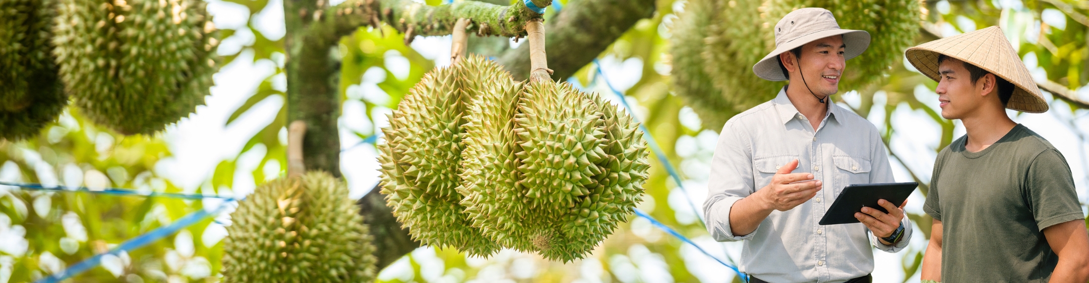 Đăng ký để được tư vấn