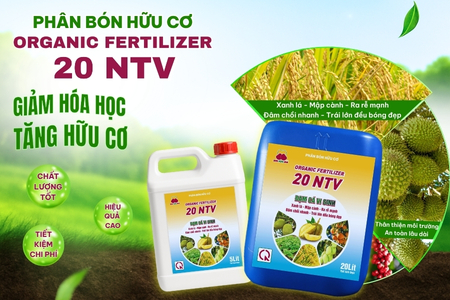 PBHC ORGANIC FERTILIZER 20NTV