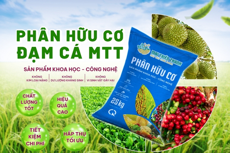 PHC ĐẠM CÁ MTT