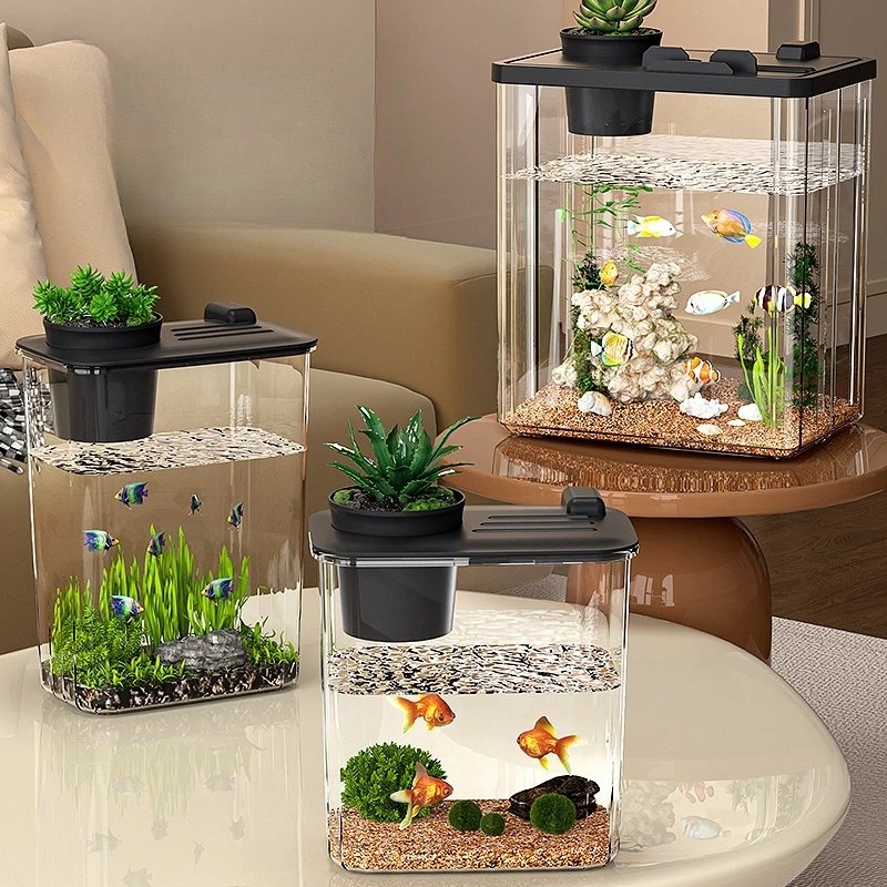 Bể cá treo tường / mini / để bàn