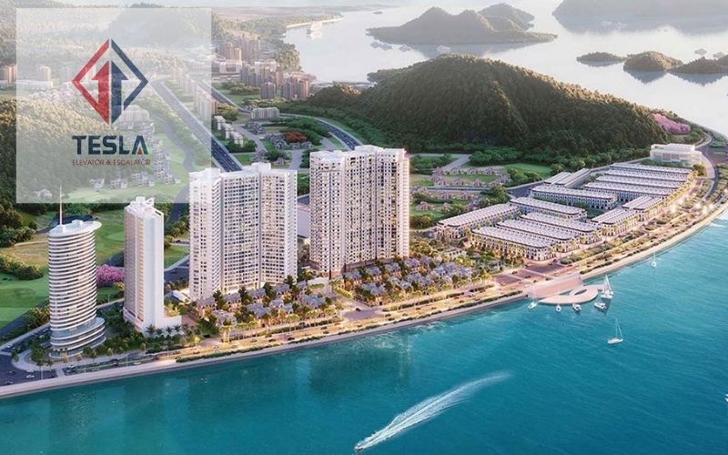 Hình ảnh bài viết