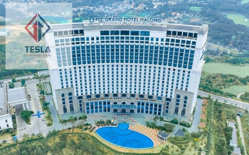 Hình ảnh bài viết