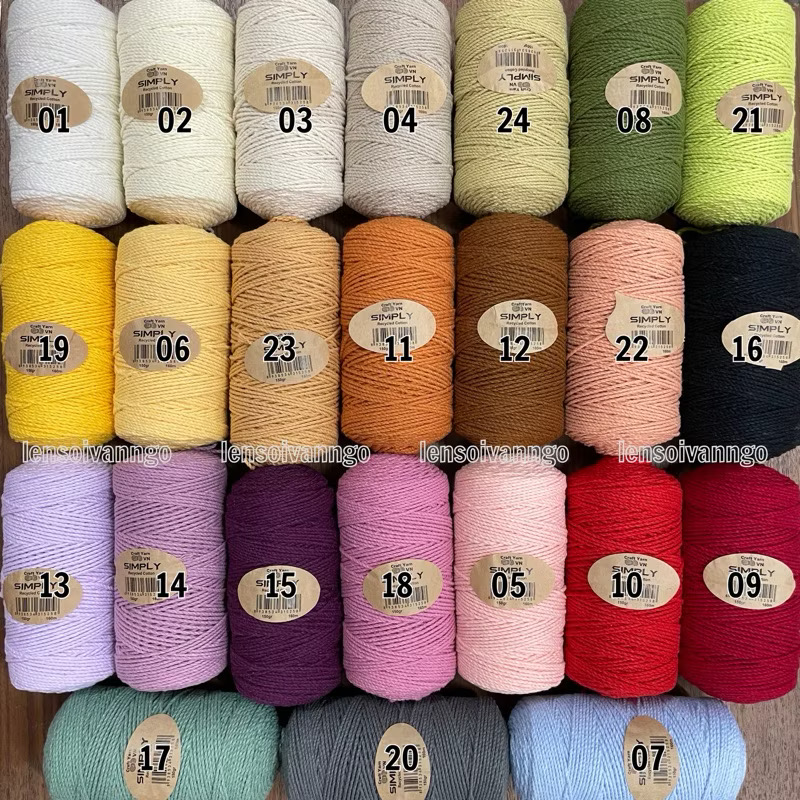 Sợi SIMPLY móc túi/mũ hè (cuộn 150gr) (26260)