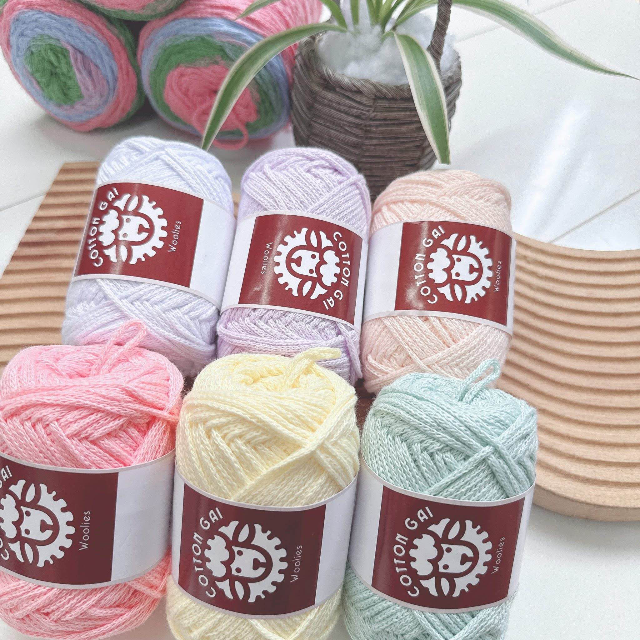 Sợi Cotton Gai WOOLIES 3mm móc túi, mũ (cuộn 100g) (26390)
