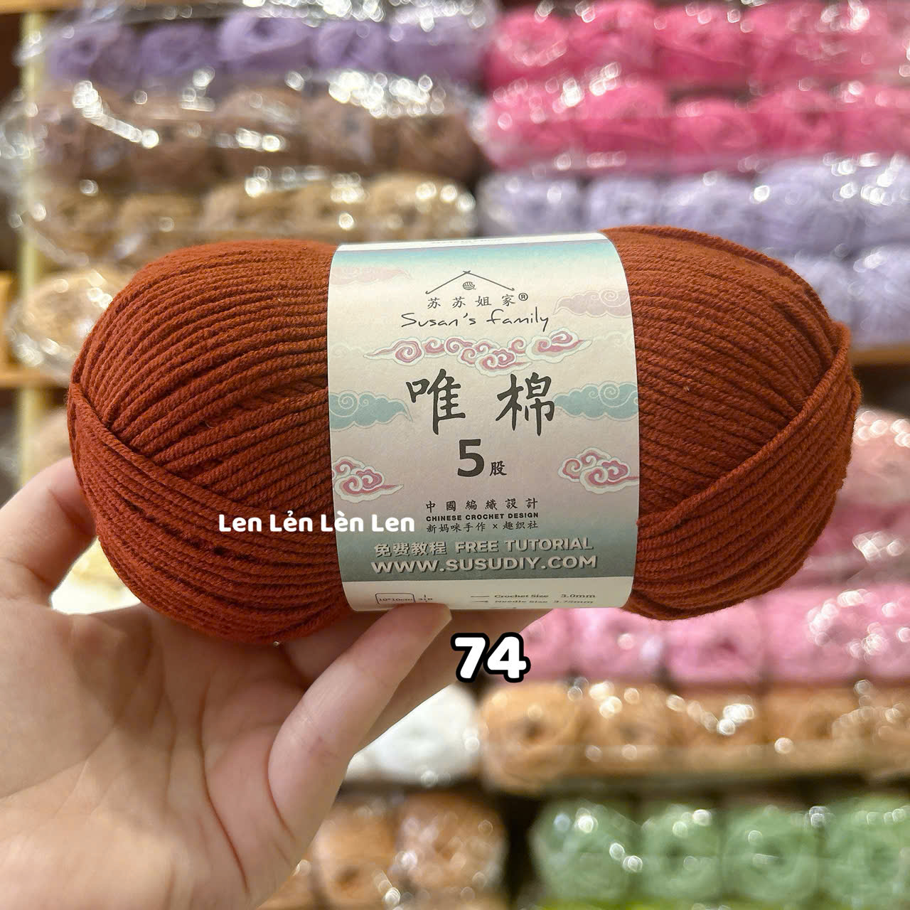 Len Susan Family 5 Nội Địa Trung-cuộn 100g (loại 1)