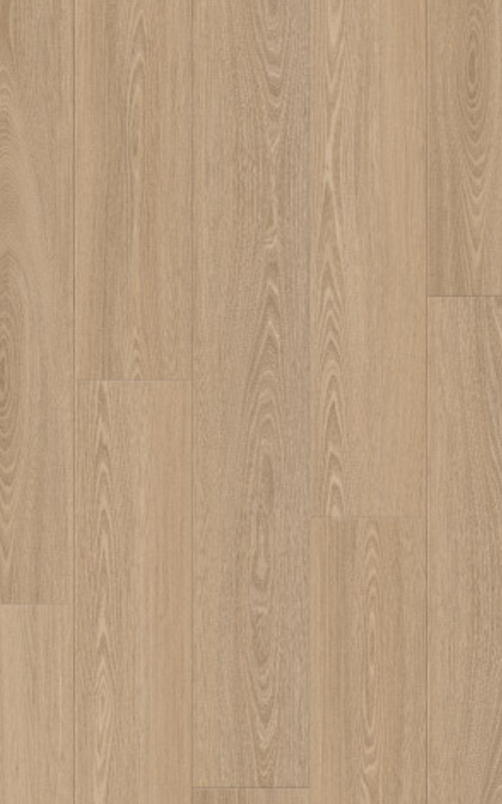  R281A Walnut