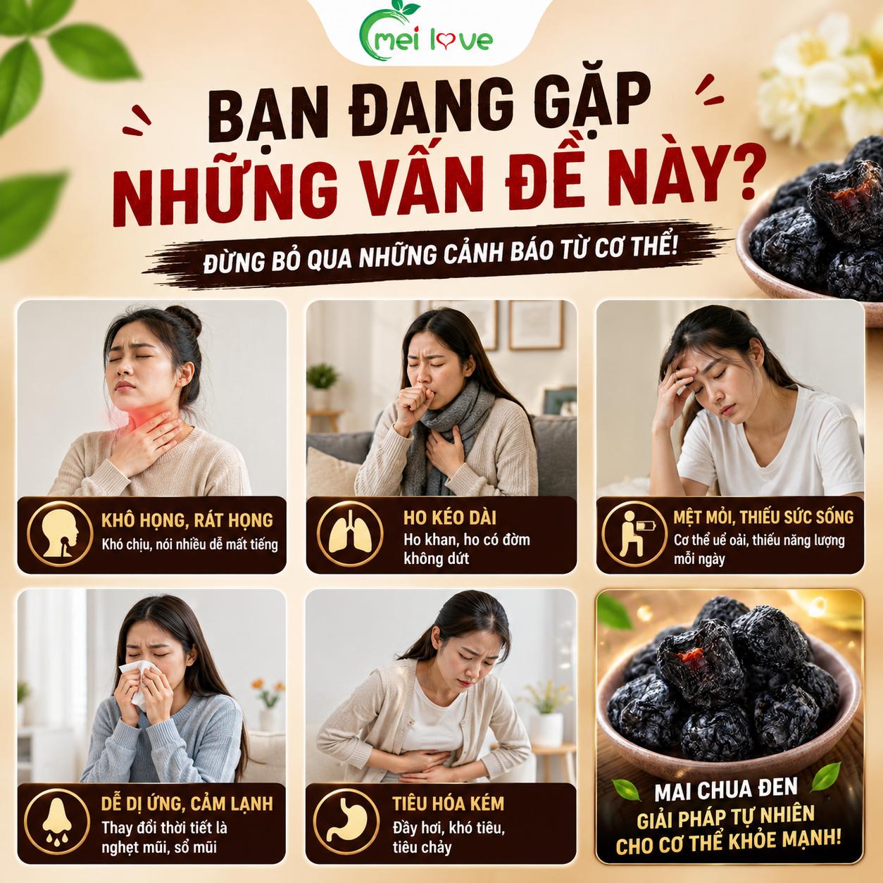 Mai Chua Đen Cao Cấp, Chua Ngọt Tự Nhiên, Sinh Tân Giải Khát, Ăn Vặt Thơm Ngon