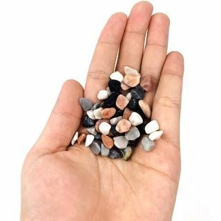 [TỔNG HỢP] 1KG Sỏi, Đá, Cát Trang Trí Hồ Cá, Bể Cá Thuỷ Sinh