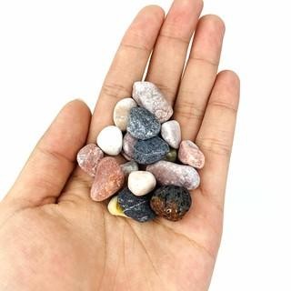 [TỔNG HỢP] 1KG Sỏi, Đá, Cát Trang Trí Hồ Cá, Bể Cá Thuỷ Sinh