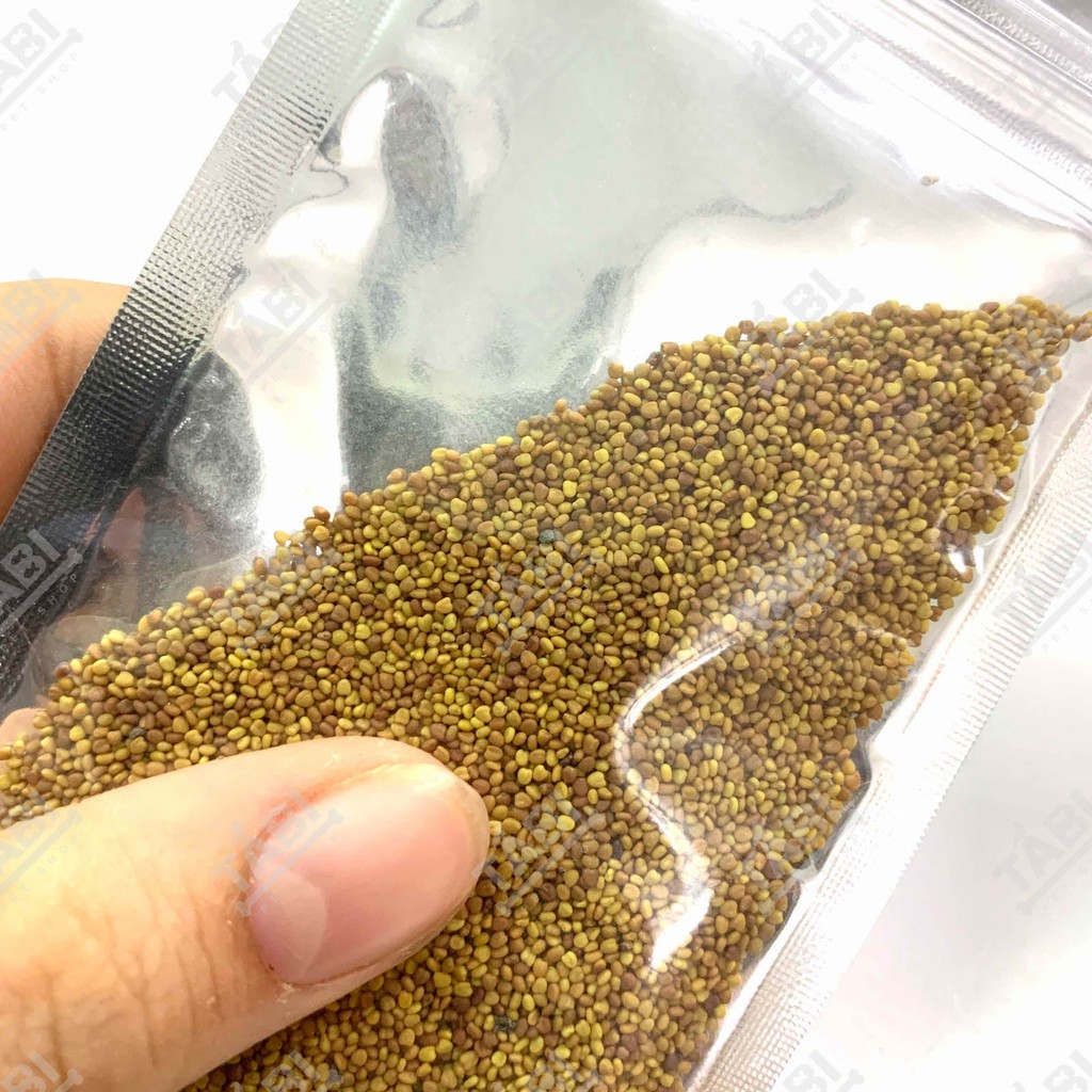 Hạt giống thủy sinh cho hồ cá - Hạt giống trân châu, có trái tim, cỏ may mắn, ngưu mao chiên 10G/ Túi