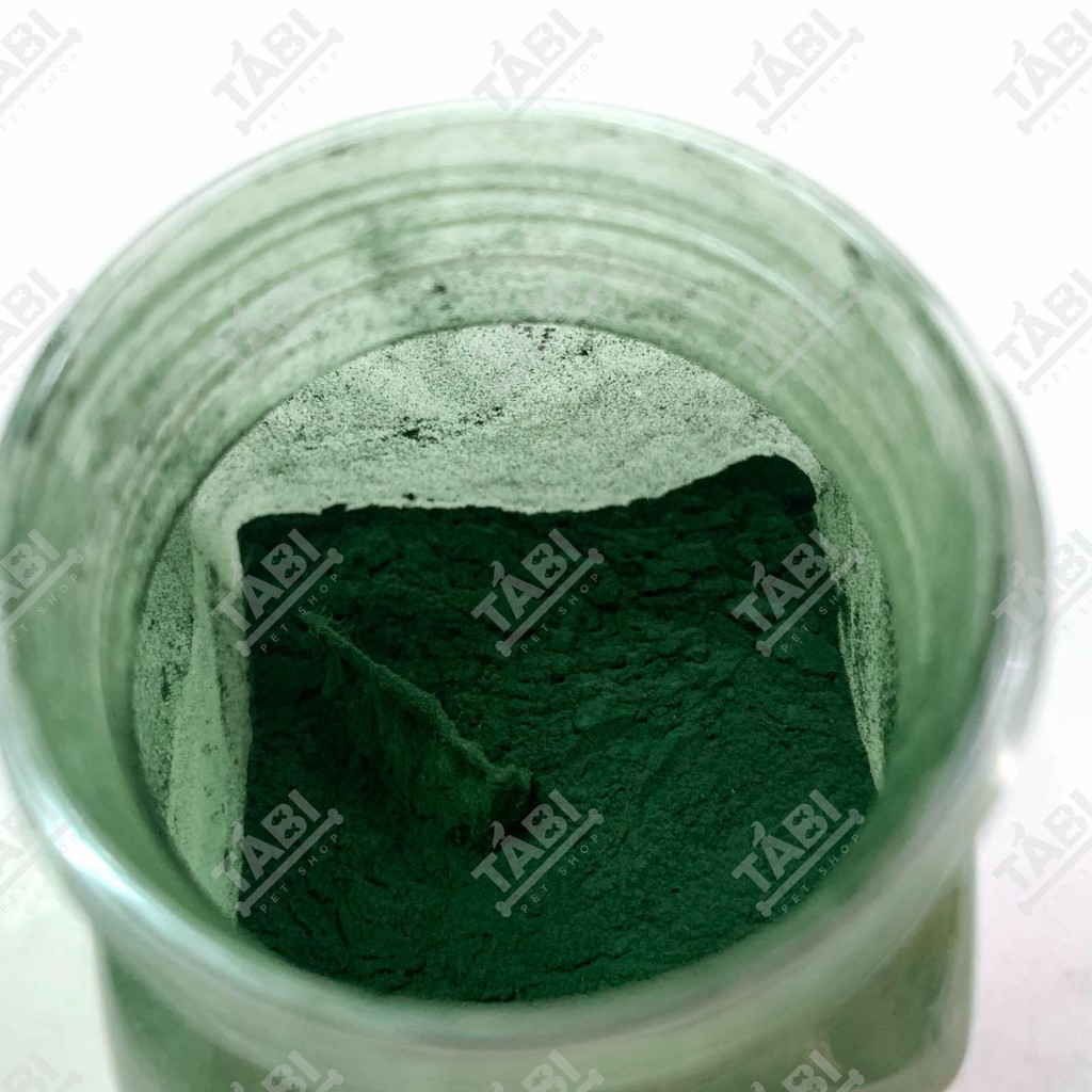 Tảo Xoắn Dạng Bột Cho Cá Ăn - Thức Ăn Cá Tảo Bột Xoắn 50G [TẢO BỘT]