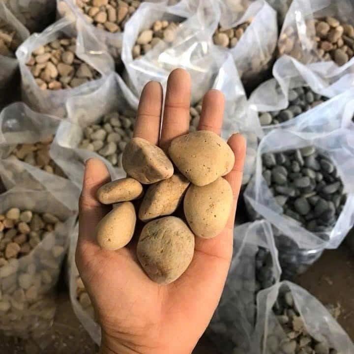 [TỔNG HỢP] 1KG Sỏi, Đá, Cát Trang Trí Hồ Cá, Bể Cá Thuỷ Sinh